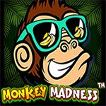 Monkey Madness